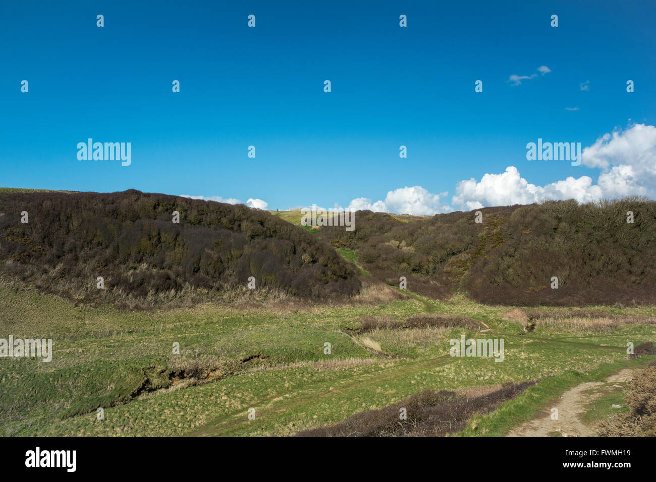 The Heritage Coast footpath in the valley at Cwm Marcross. Stock Photo
