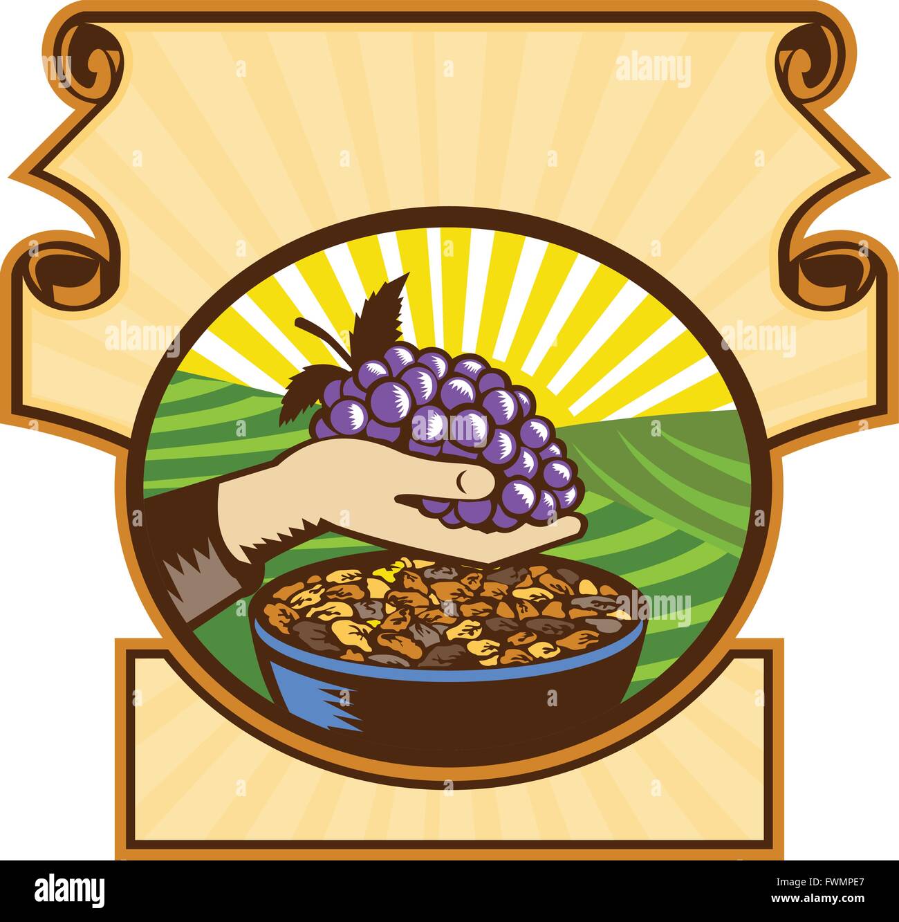 Illustration of a hand holding grapes with raisins in a bowl set inside an oval shape set inside a crest with sunburst in the background done in retro woodcut style. Stock Vector