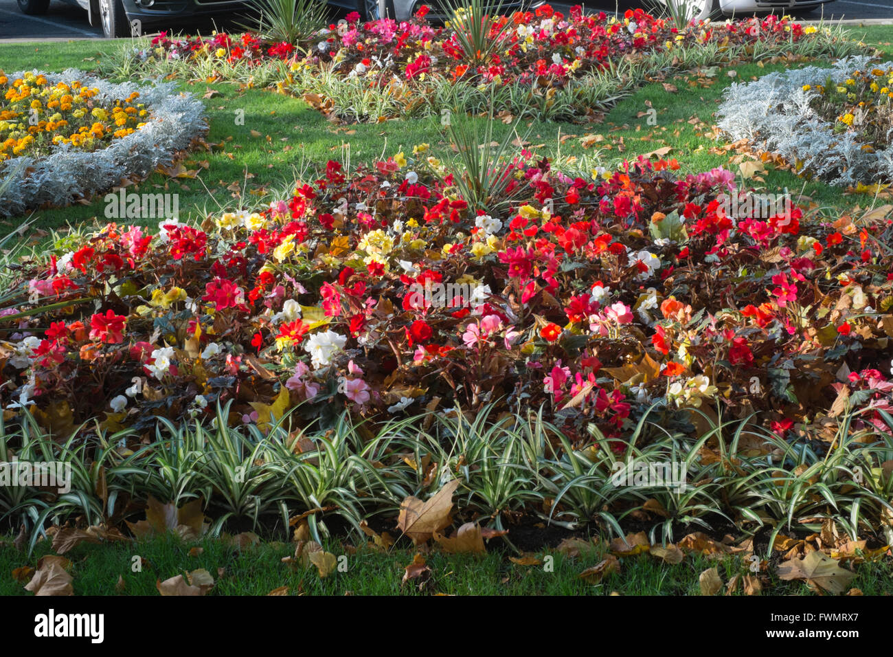 Flower beds in the memorial garden in Cheltenham Stock Photo Alamy