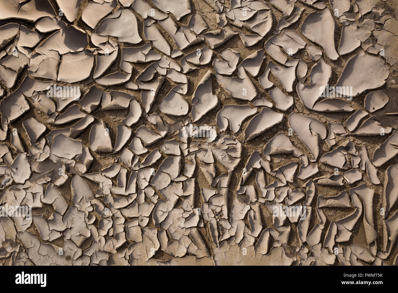 Peeling mud hi-res stock photography and images - Alamy