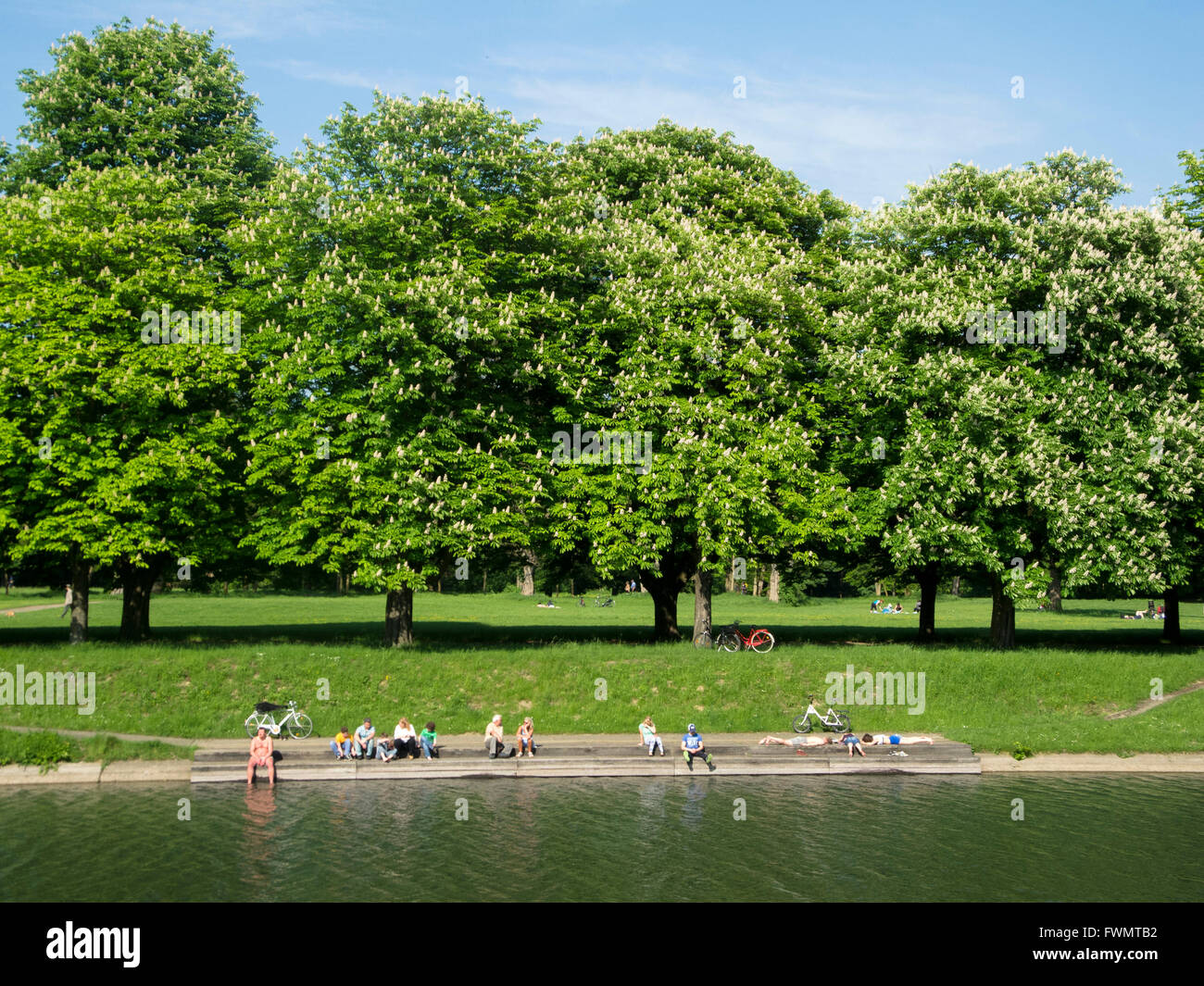 Köln, Deckstein, Decksteiner Weiher, Kastanienallee Stock Photo