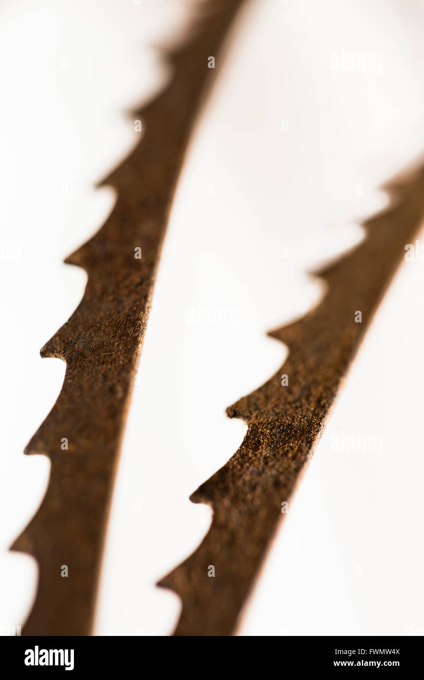 Rusty saw blade. Stock Photo