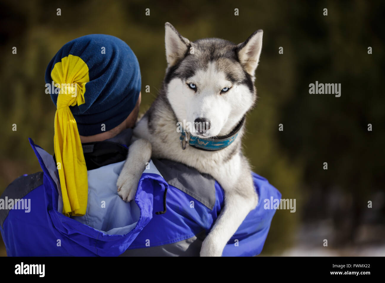 Happy man with a husky at winter time Stock Photo