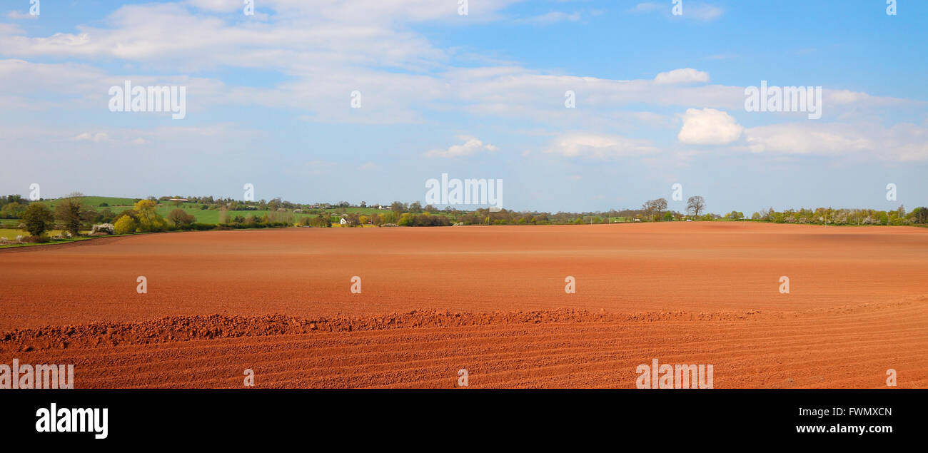 Red Soil England High Resolution Stock Photography and Images - Alamy