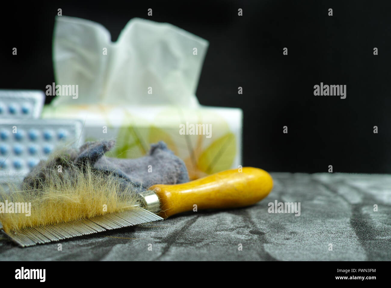 Allergy relief concept, home pets hair and dust as allergens