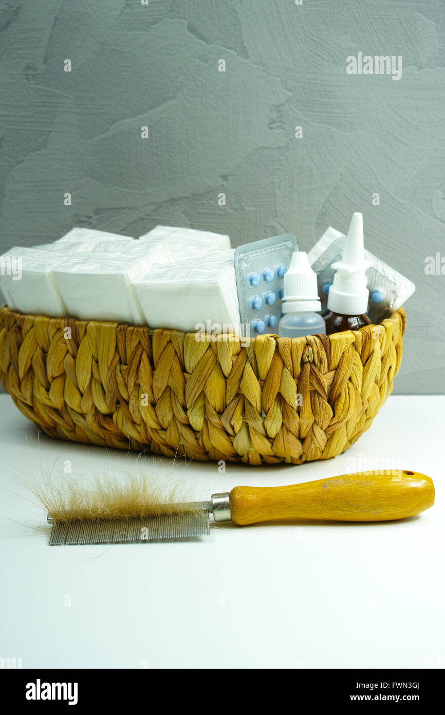 Allergy relief concept, home pets hair and dust as allergens