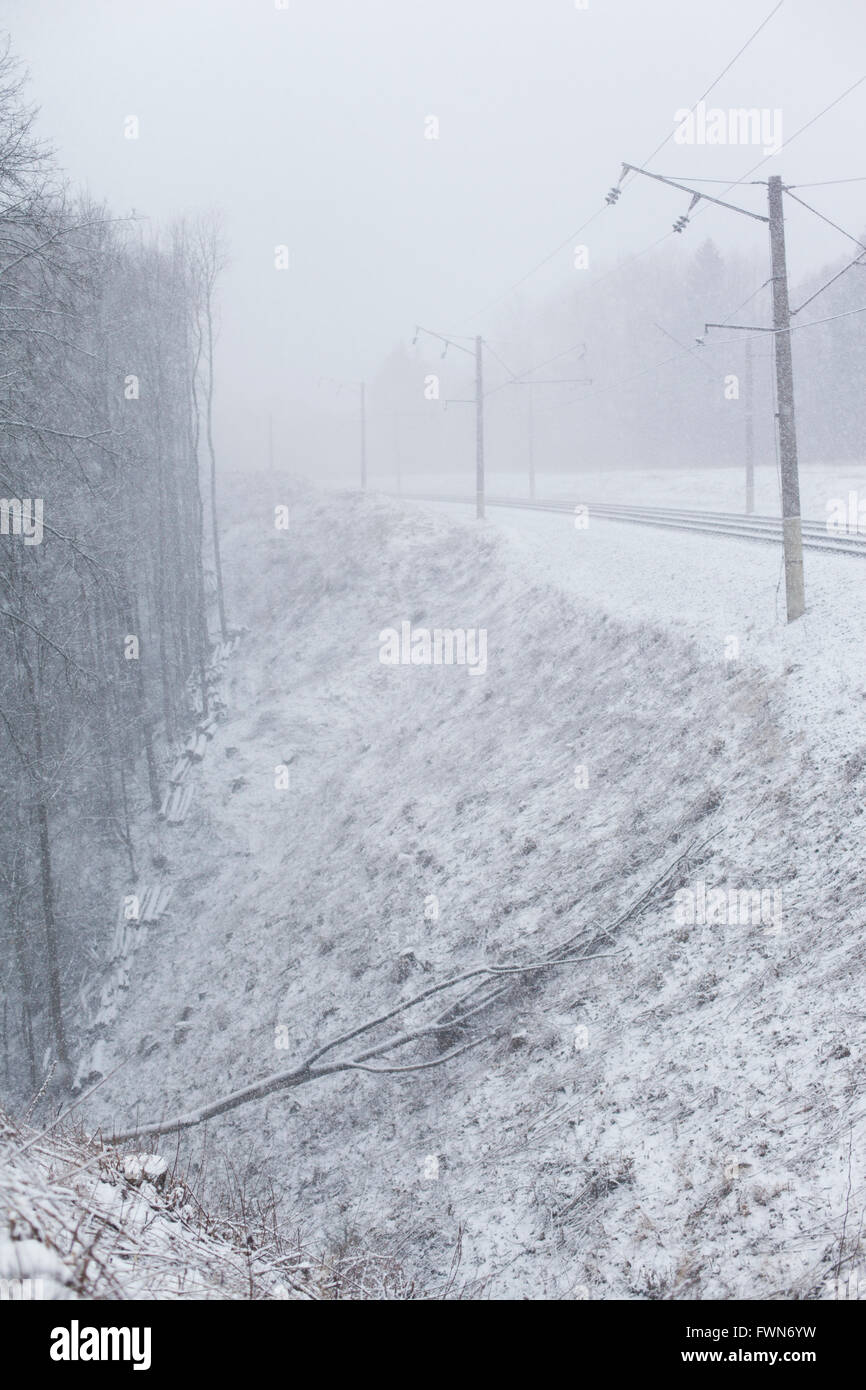 Train tracks in winter, heavily snowing. Slope and fallen tree Stock Photo