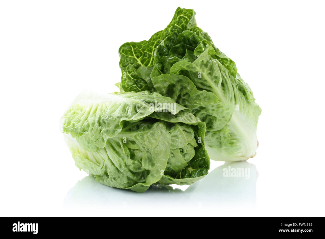 Romaine lettuce vegetable isolated on a white background Stock Photo
