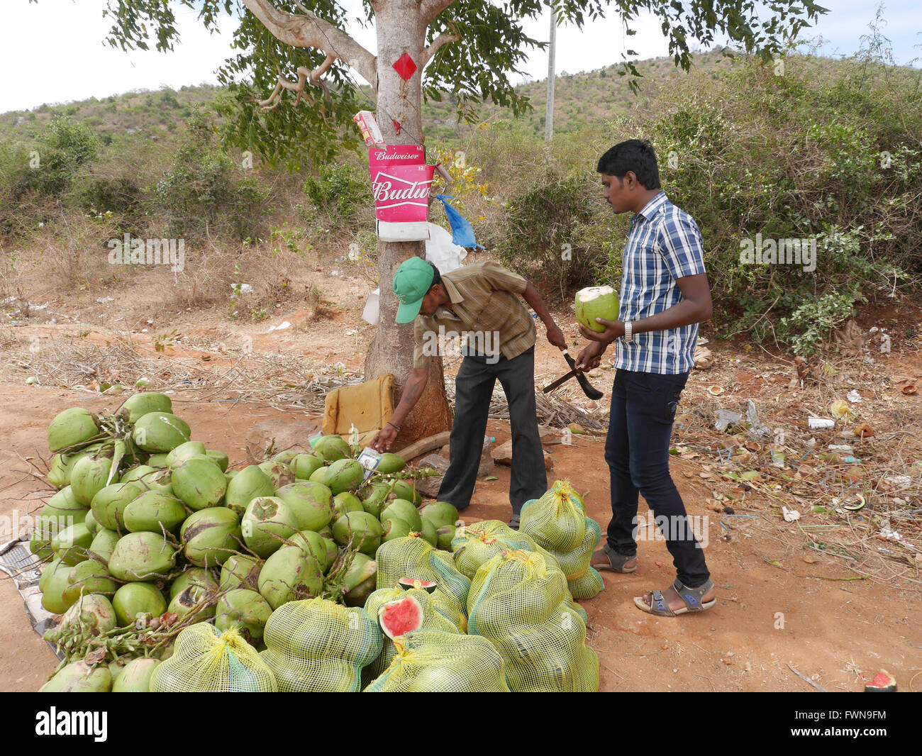 Nut Seller High Resolution Stock Photography and Images Alamy
