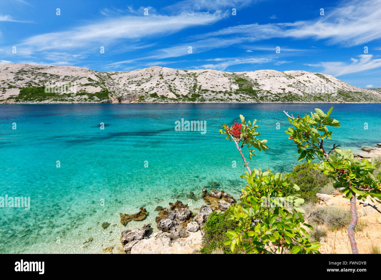 Nature landscape of island Rab in Croatia Stock Photo