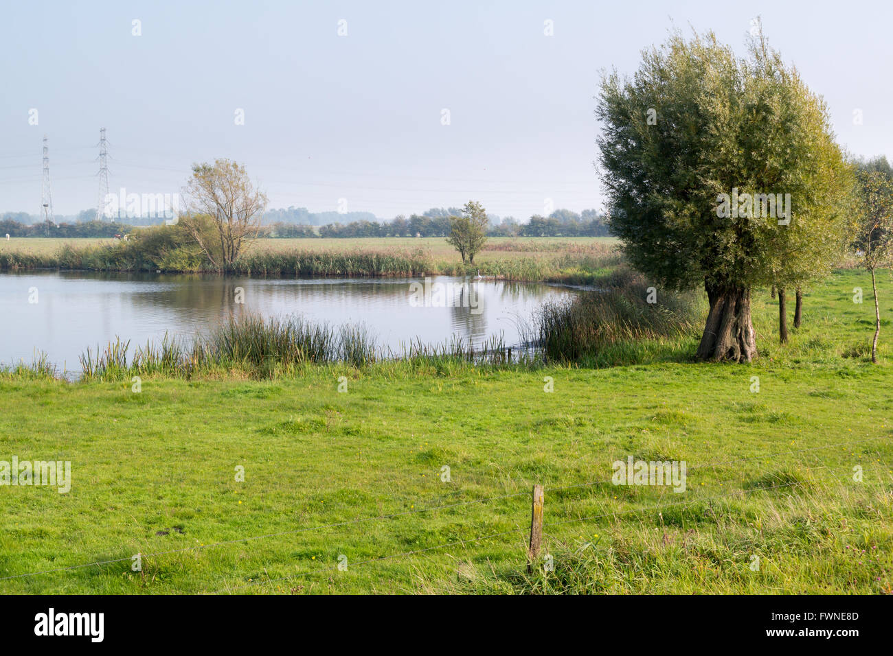 Pool and grassland in river forelands of IJssel River, Gelderland, Netherlands Stock Photo