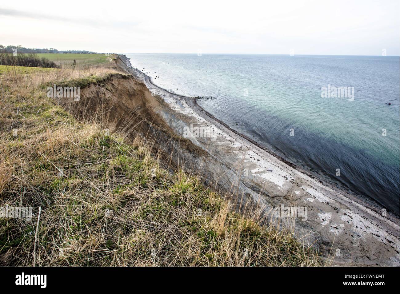 Cliff coast at the baltic sea in nothern germany Stock Photo