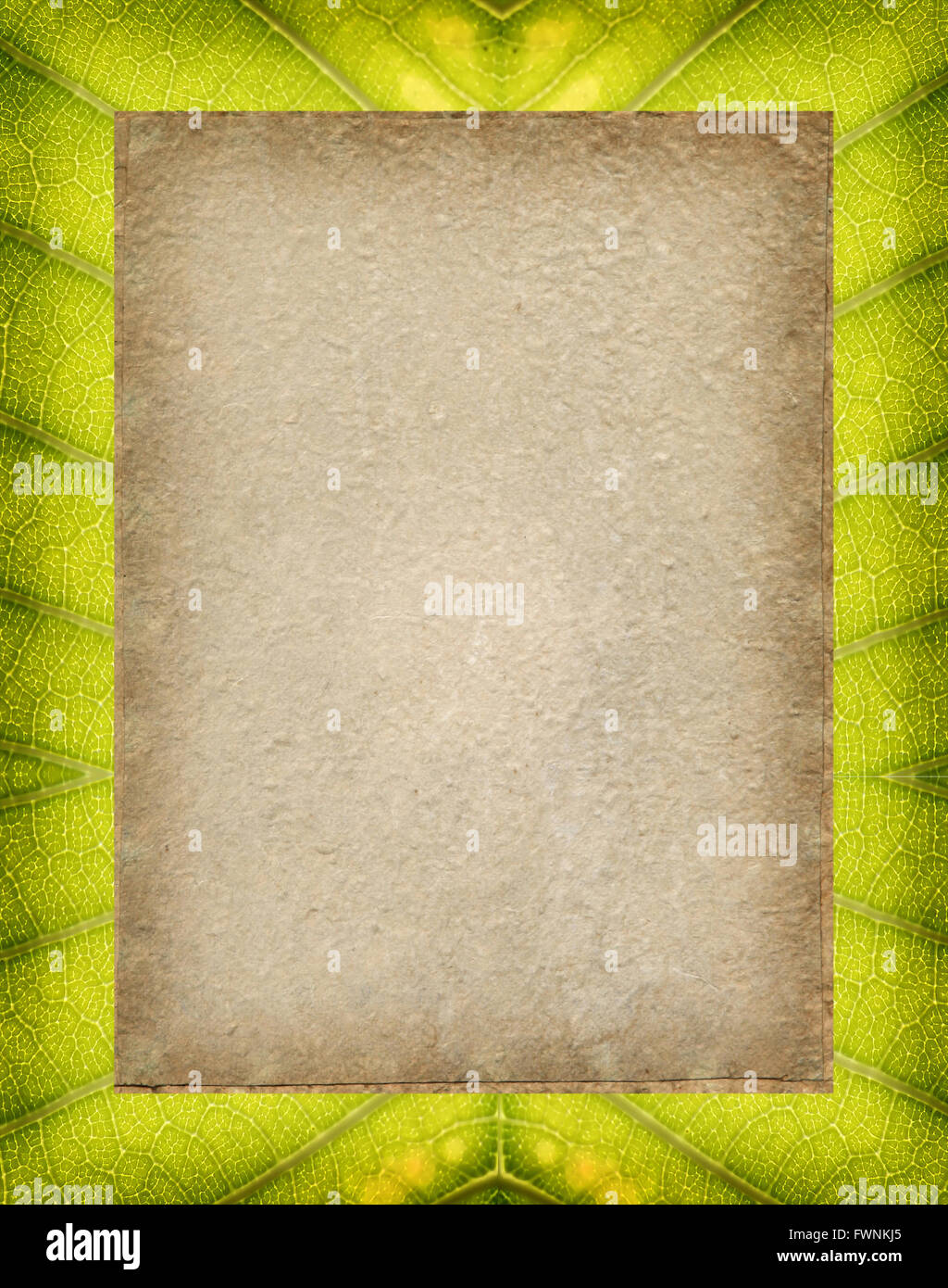 blank Vintage Paper on leaf texture Stock Photo - Alamy