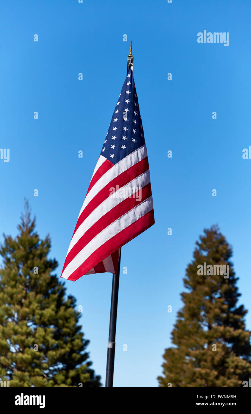 American USA flag waving in the wind United States of America Stock ...