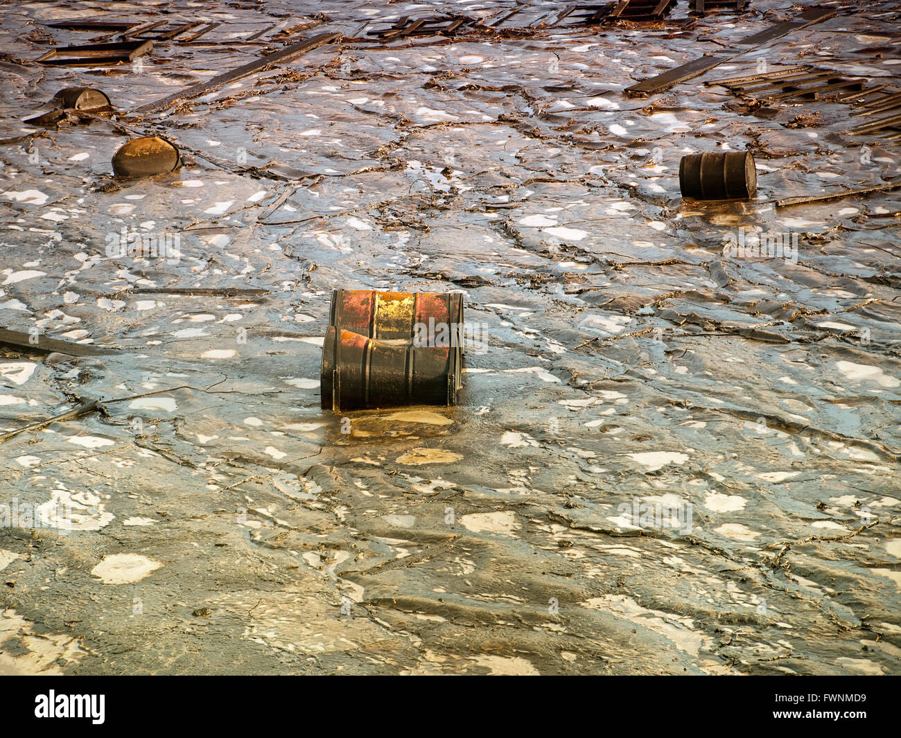 Old industrial metal barrels surrounded by contaminated environment. Stock Photo