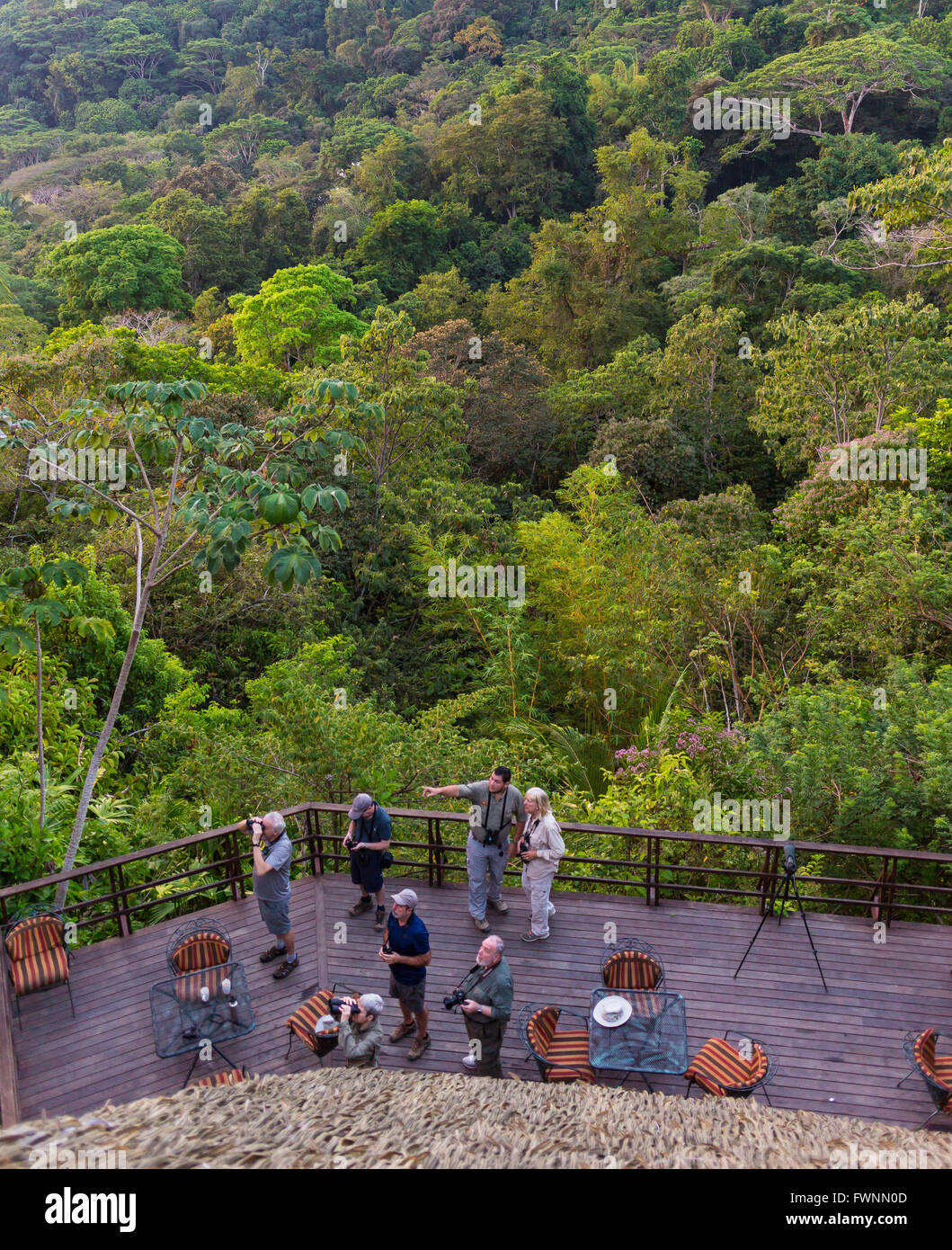 OSA PENINSULA, COSTA RICA - Eco-tourists viewing wildlife from deck in rain forest. Stock Photo