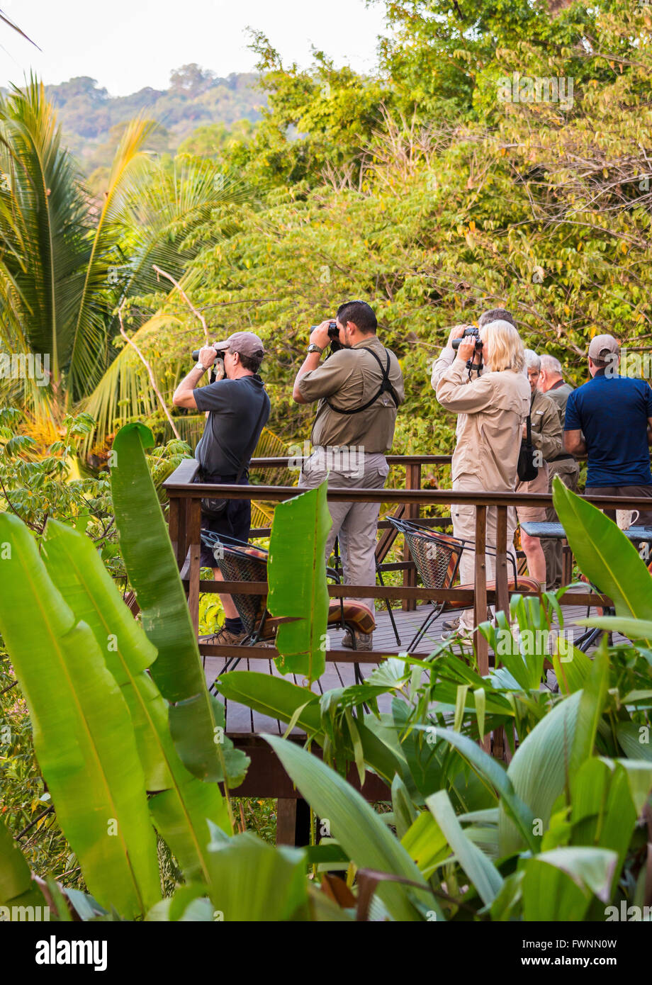 OSA PENINSULA, COSTA RICA - Eco-tourists viewing wildlife in rain forest. Stock Photo
