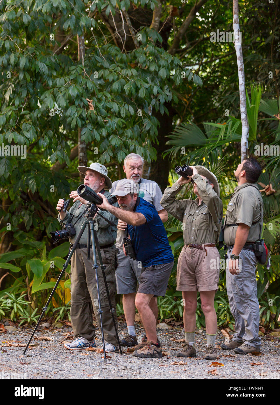 OSA PENINSULA, COSTA RICA - Eco-tourists birdwatching and viewing wildlife with binoculars in rain forest. Stock Photo