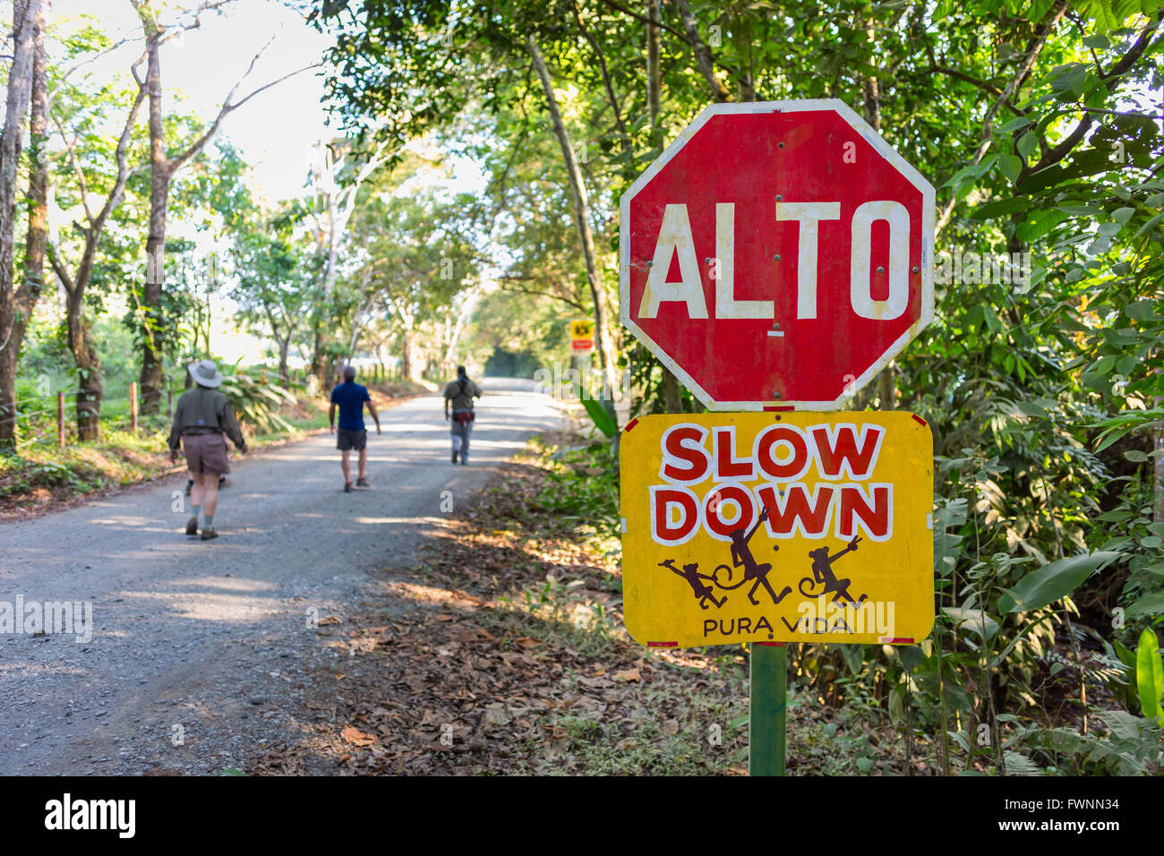 OSA PENINSULA, COSTA RICA - Stop sign, Alto and Slow Down on road with people walking. Stock Photo