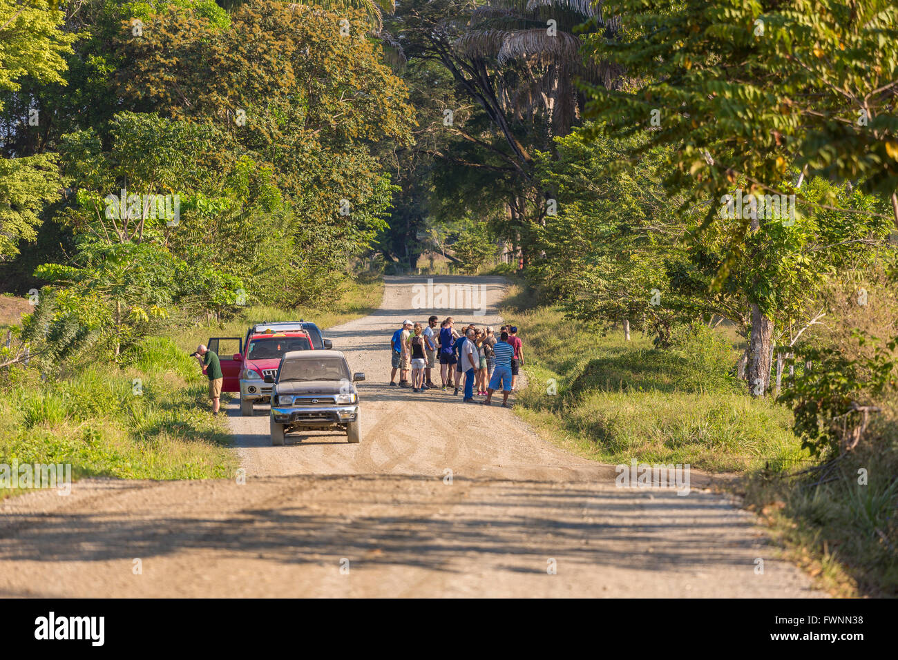 OSA PENINSULA, COSTA RICA - Eco-tourists stop cars on dirt road to view wildlife. Stock Photo
