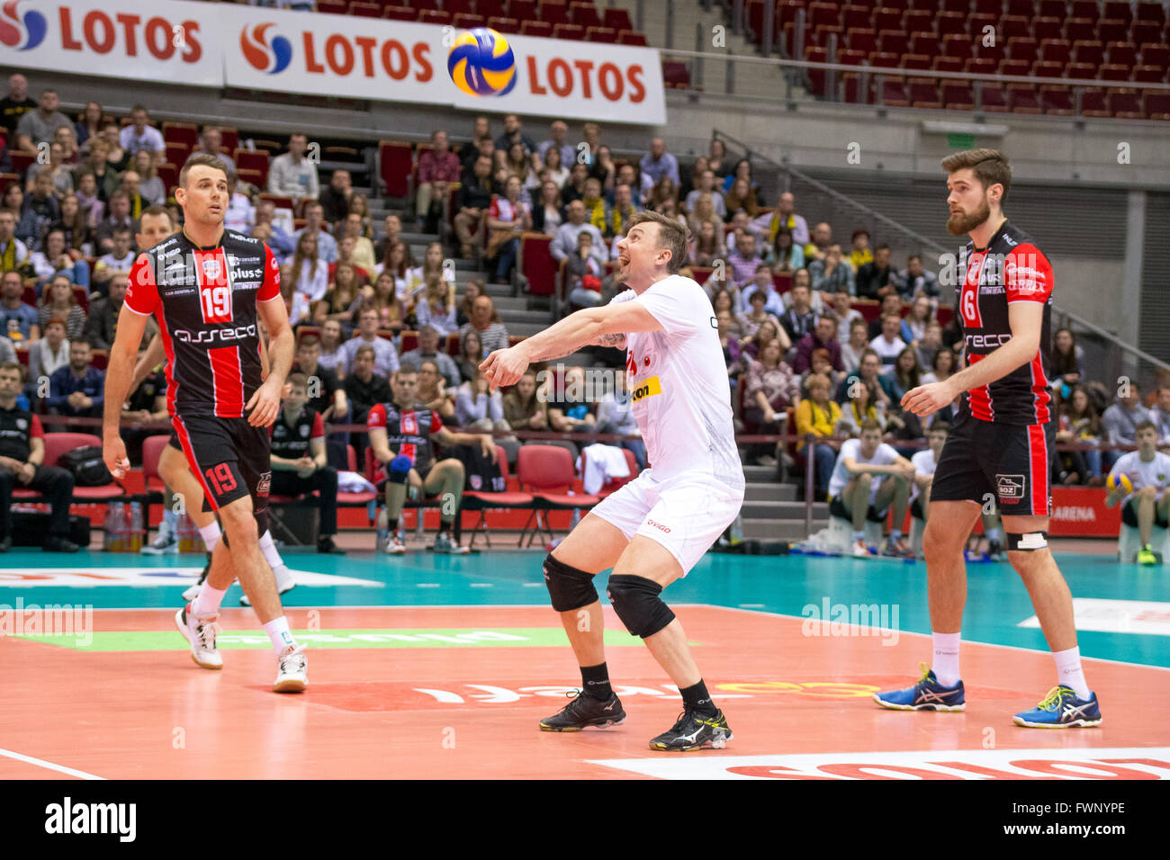 Dryja hires stock photography and images Alamy