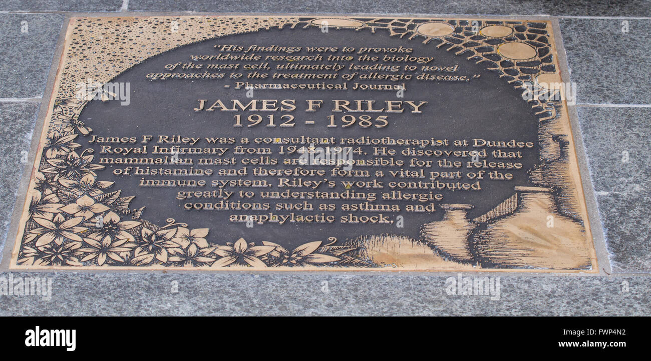 Dundee, Tayside, Scotland, UK, April 7th 2016. Tuesday 6th April Dundee City Council privately unveiled 9 bronze plaques set into the paved area of Slessor Square along Discovery Walk at the heart of the city's waterfront development project in Dundee. It celebrates the contributions of Dundee people who have contributed to science and society in a highly visible and permanent way. Credit: Dundee Photographics / Alamy Live News Stock Photo