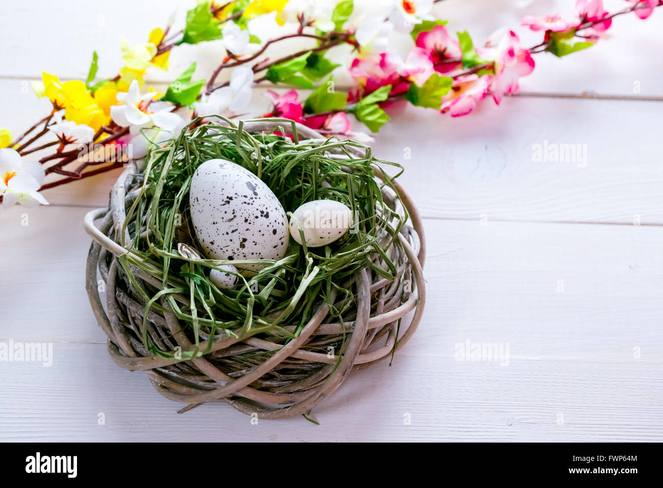 Beautiful Easter background with flowers and nest with eggs on white ...