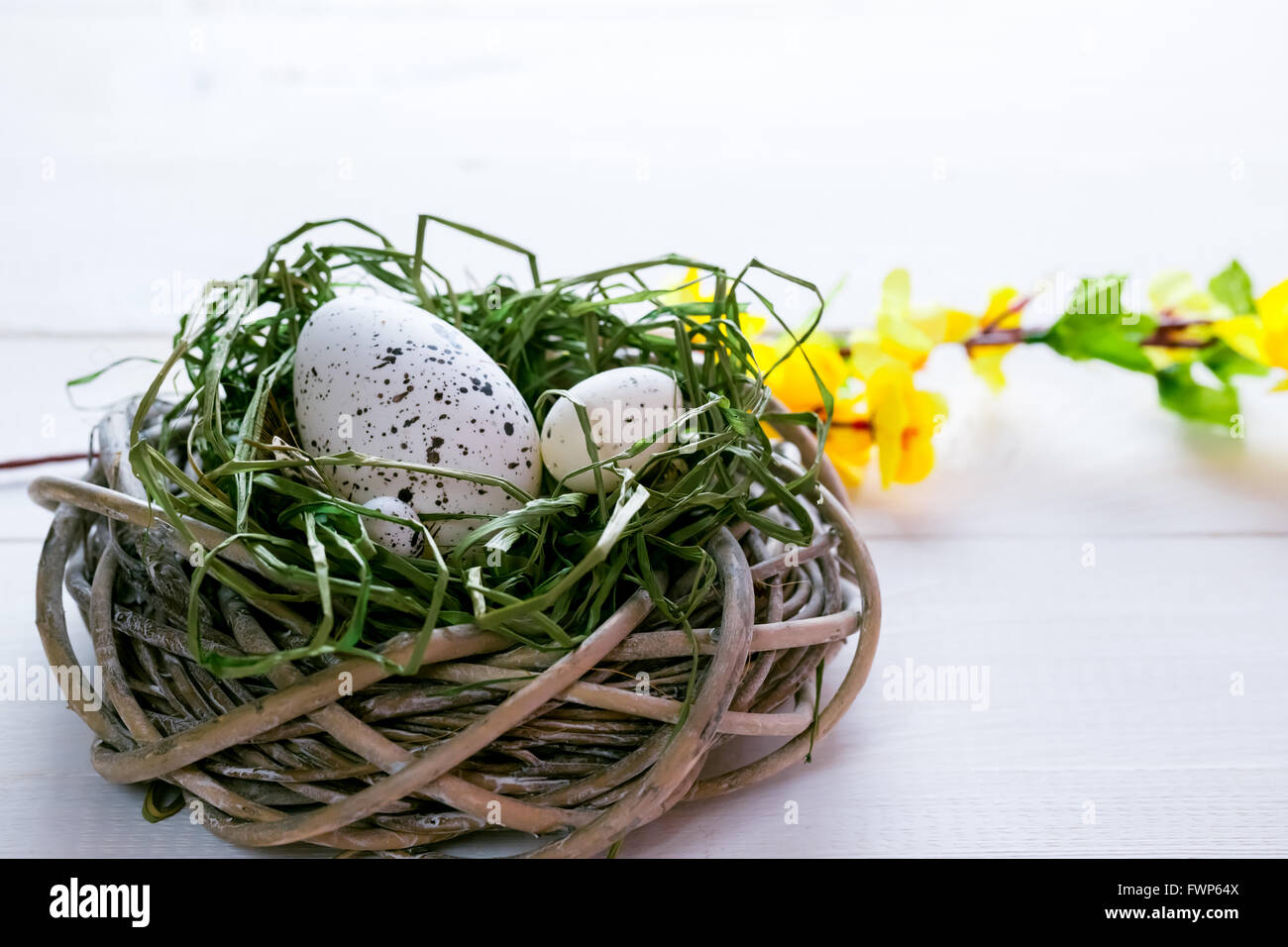 Beautiful Easter background with flowers and nest with eggs on white ...