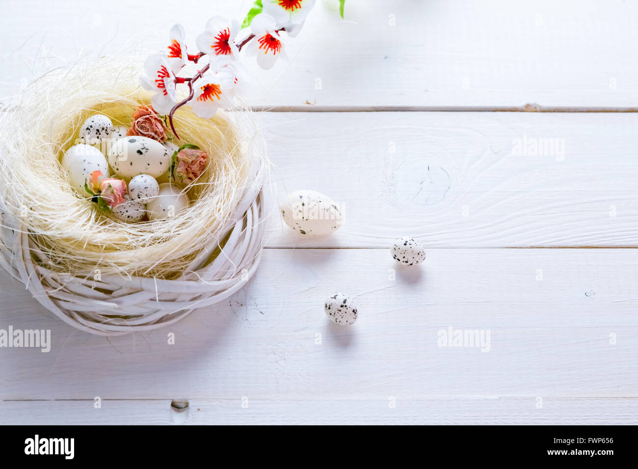 Beautiful Easter background with flowers and nest with eggs on white ...