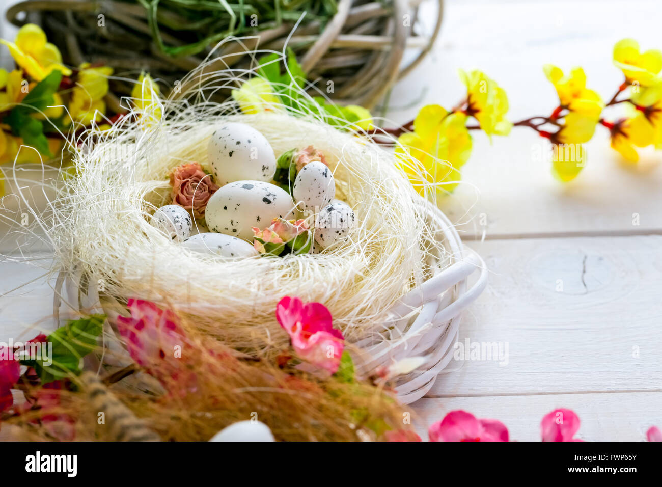 Beautiful Easter background with flowers and nest with eggs on white ...