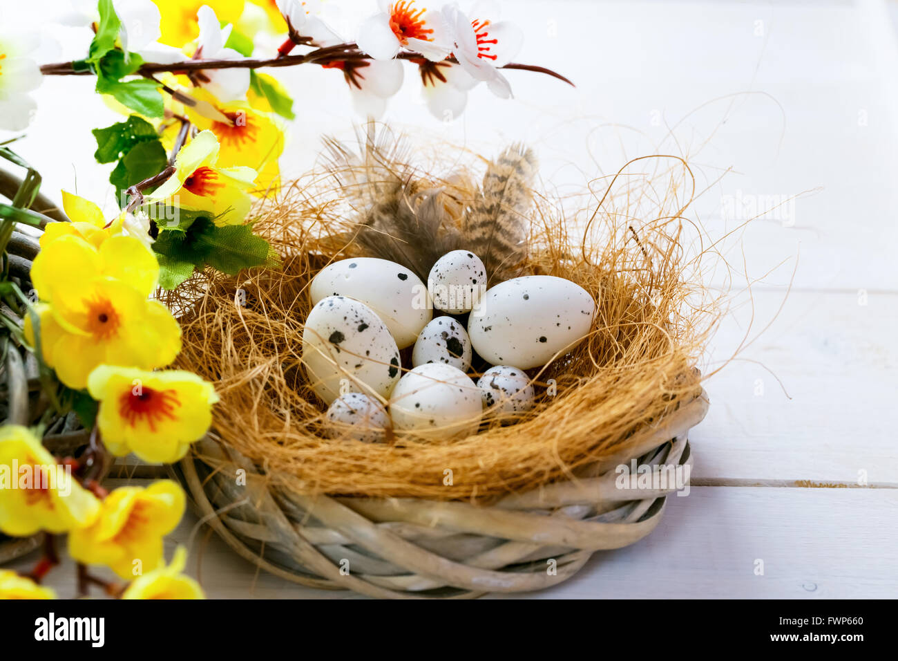 Beautiful Easter background with flowers and nest with eggs on white ...