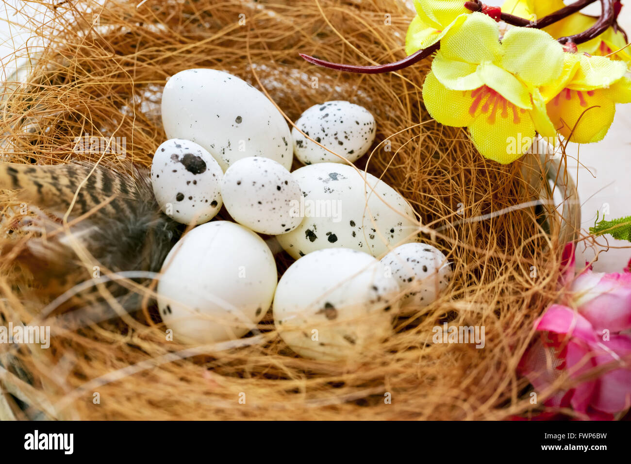 Beautiful Easter background with flowers and nest with eggs on white ...