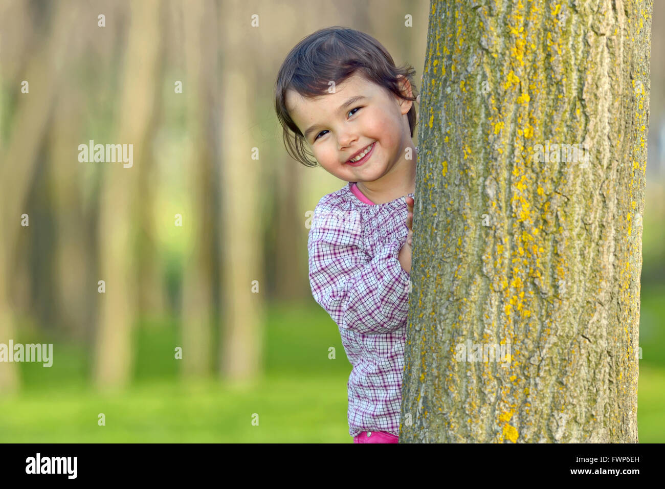 Little girl hiding behind a tree in a forest Stock Photo