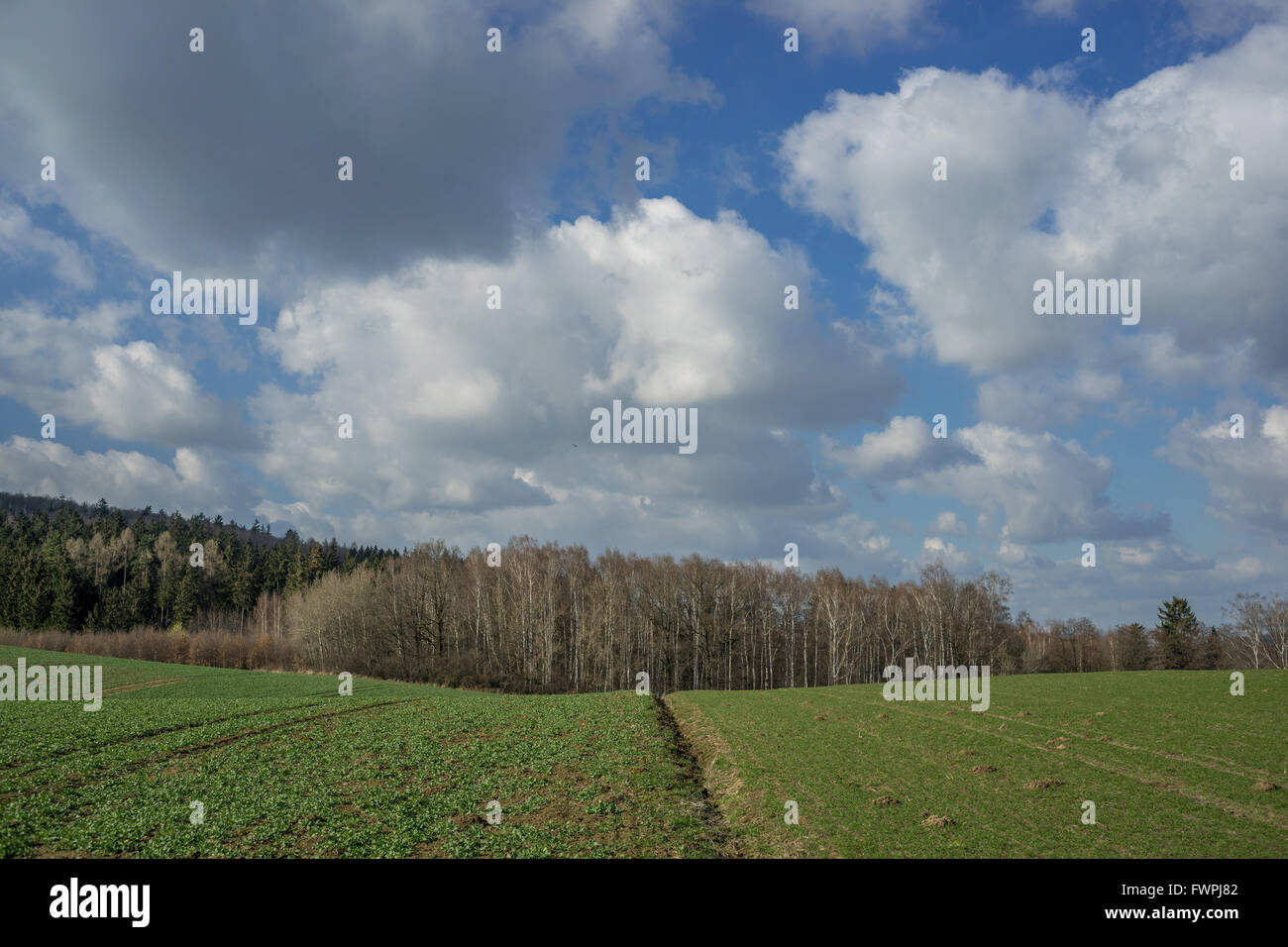 Sunny spring sky with clouds,germinating green fields and  balk Lower Silesia Nieder Schlesien Stock Photo