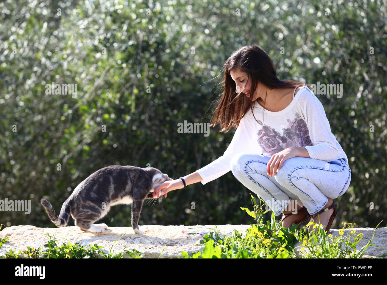 Young twelve year old preteen girl with her cat (model release available) Stock Photo
