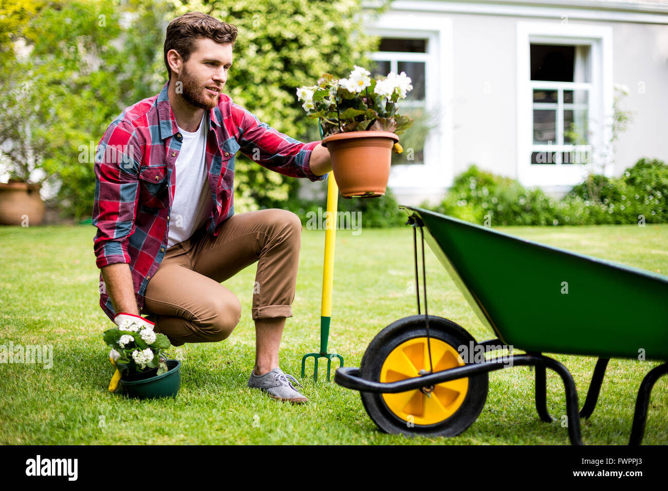 Gardener holding potted plants in yard Stock Photo - Alamy
