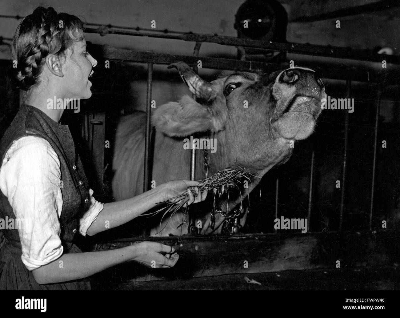 Der Schandfleck, Österreich 1956, Regie: Herbert B. Fredersdorf, Darsteller: Gerlinde Locker Stock Photo