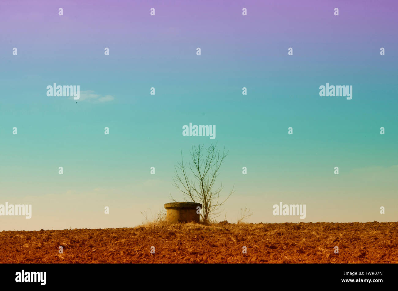 concrete well under a tree in a field Stock Photo