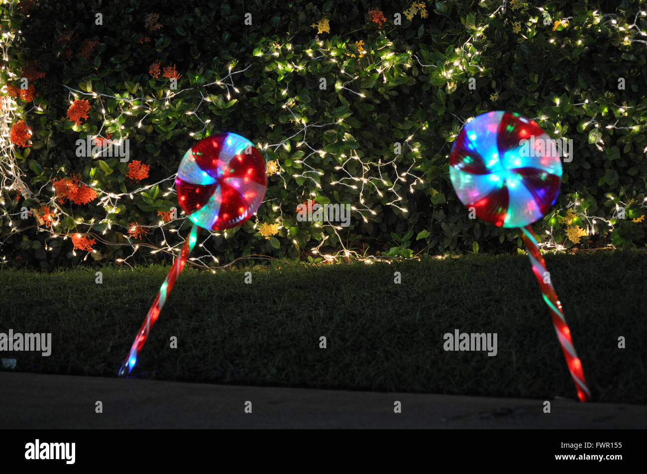 Christmas lights and flash toy windmill Stock Photo Alamy