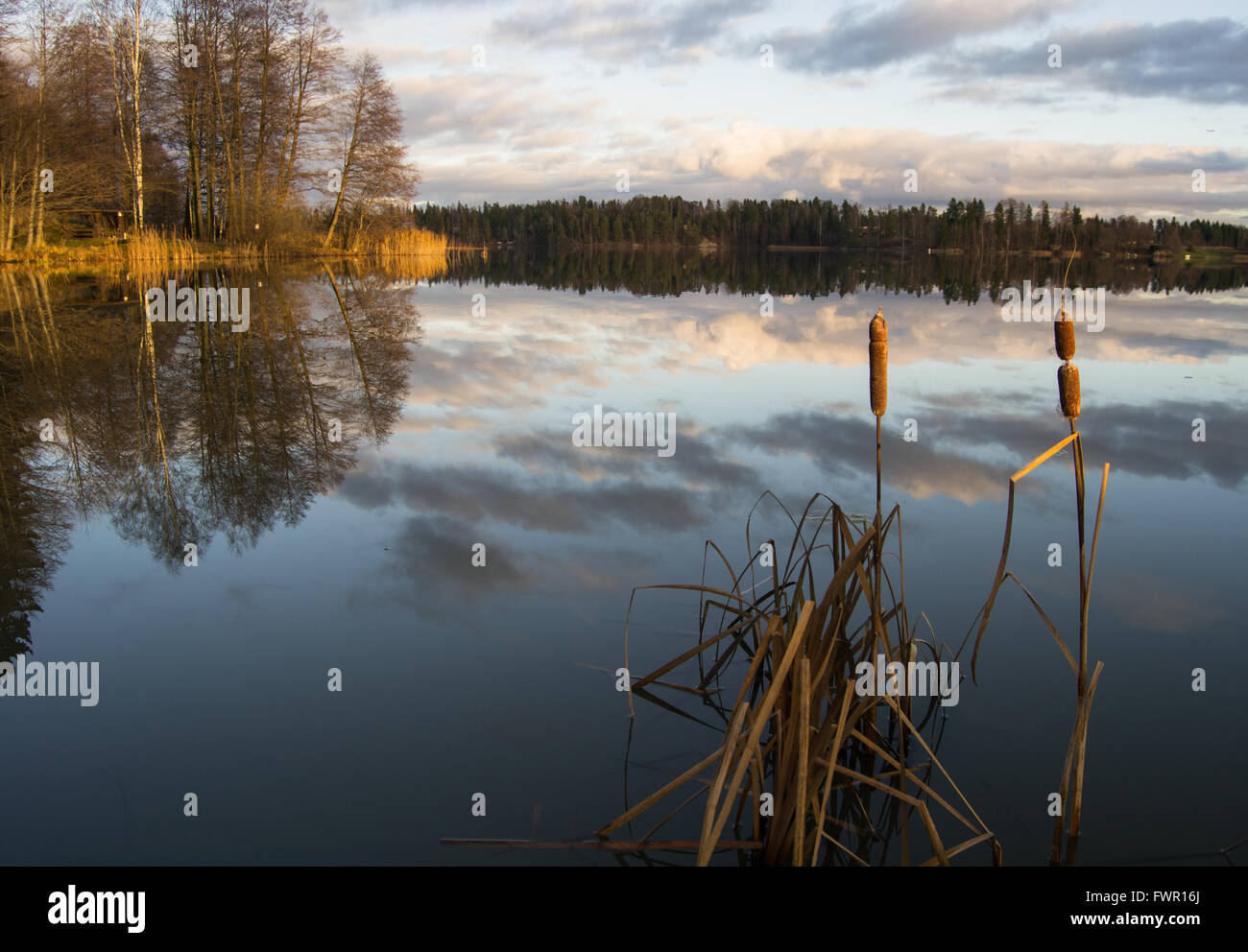 Calm lake in the winter before the water freezes Stock Photo