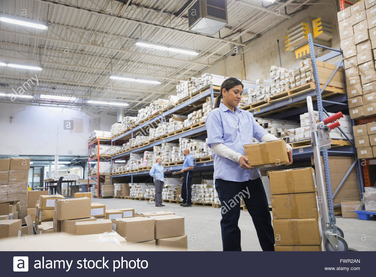Female worker stacking boxes in warehouse Stock Photo 101925005 Alamy