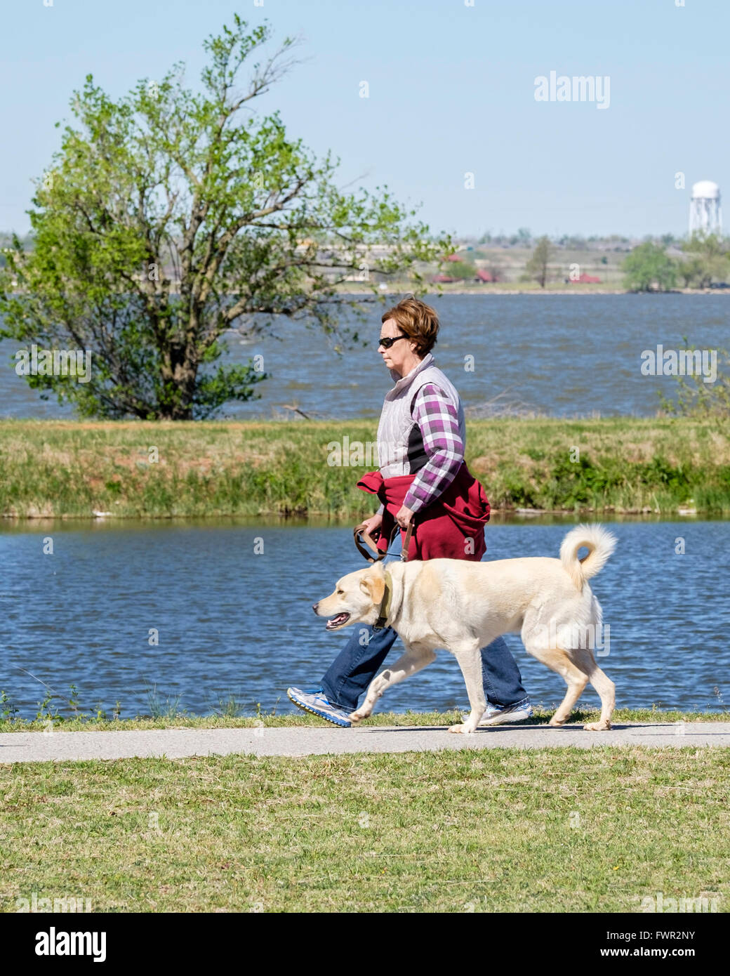 A middle-aged Caucasian woman walks her Labrador Retriever on the Overholser lake trails inh Oklahoma City, Oklahoma,USA. Stock Photo