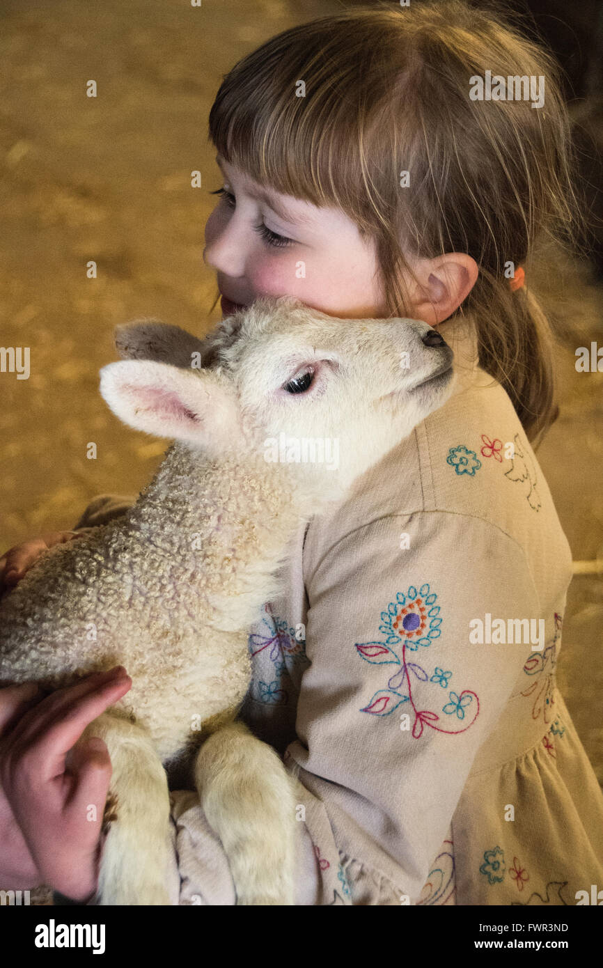 child girl animal little lamb spring profile indoors brown happy moments new life farm  holding lamb shoulder alamy Stock Photo