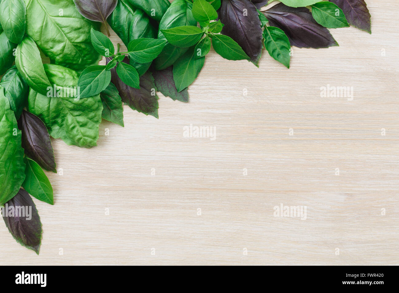 Heirloom basil on wooden table, many cultivars including Genovese, Holy Basil, spice globe. Flat lay, above view Stock Photo