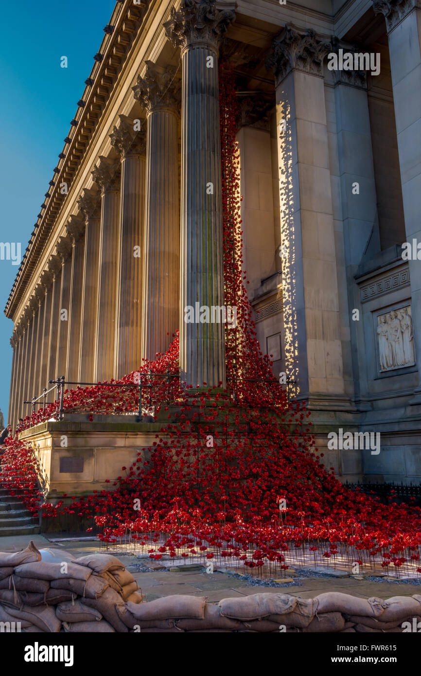 'Weeping Window' poppy installation at St.George's Hall, Liverpool Stock Photo