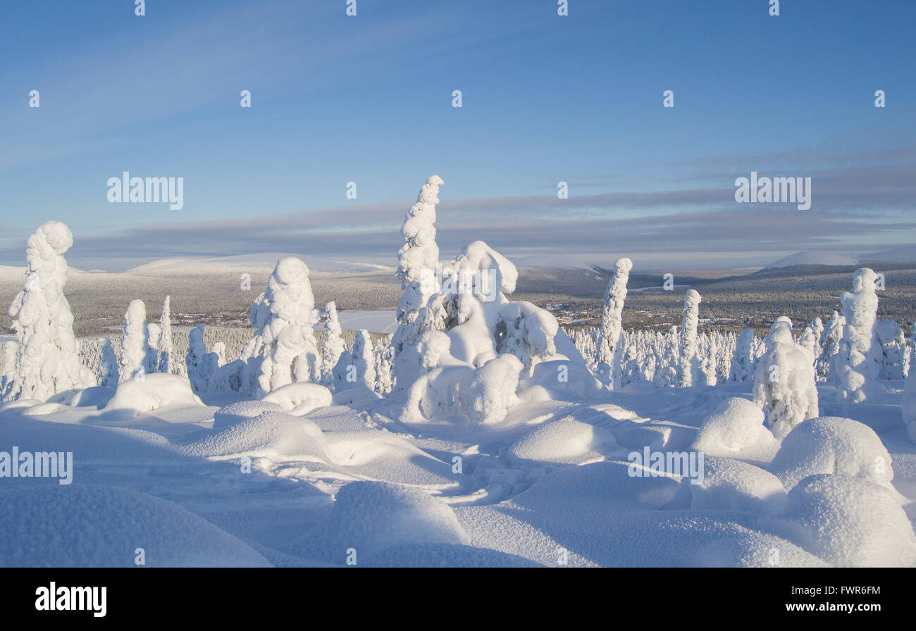 Snow covered trees in the fells of Finnish Lapland Stock Photo