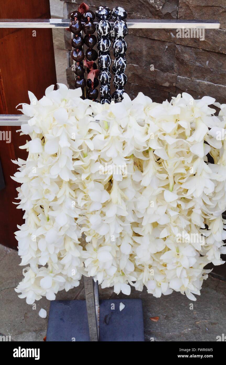 Welcome flower hi-res stock photography and images - Alamy
