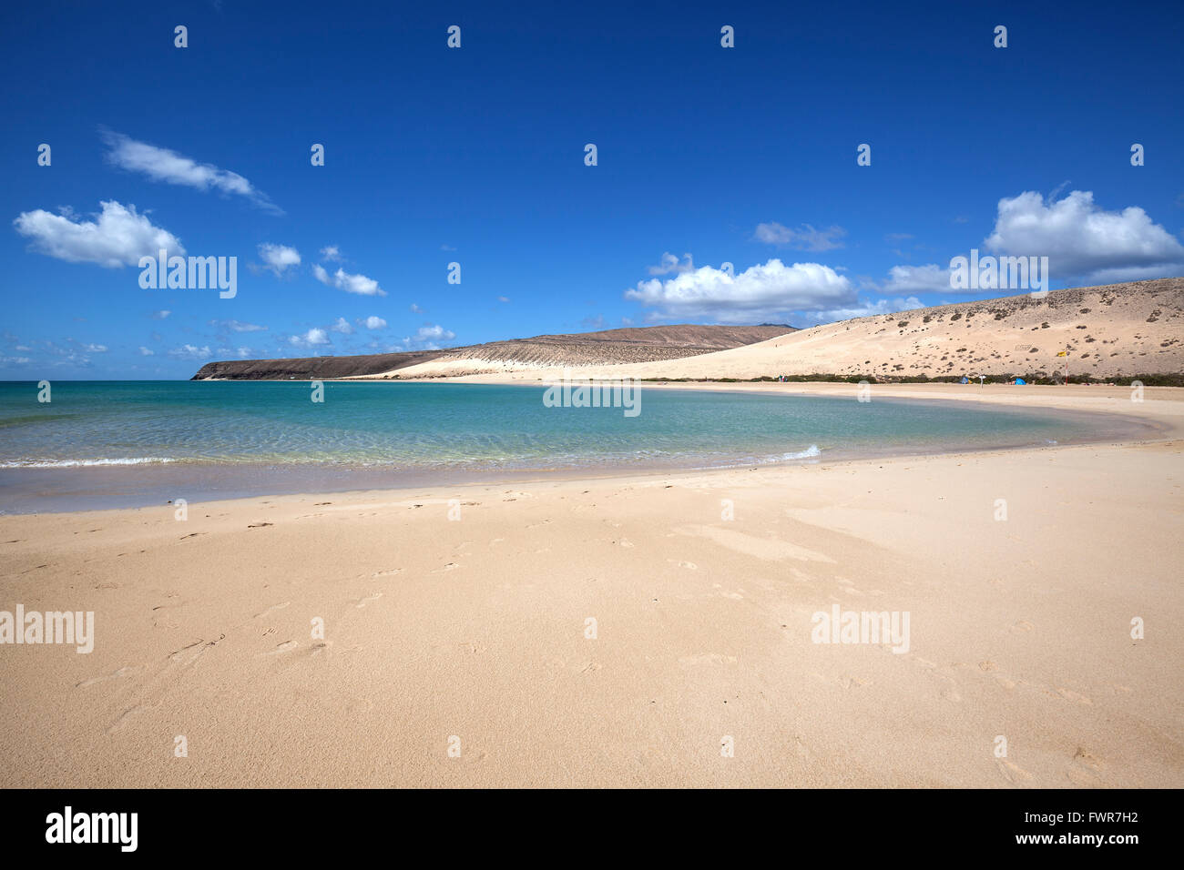 Beach Playa Risco del Paso, Playa de Sotavento, Jandia, Fuerteventura, Canary Islands, Spain Stock Photo