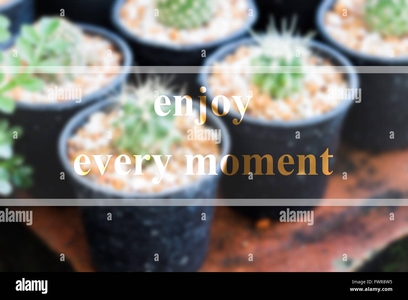 Enjoy every moment inspirational quote on blurred background Stock Photo