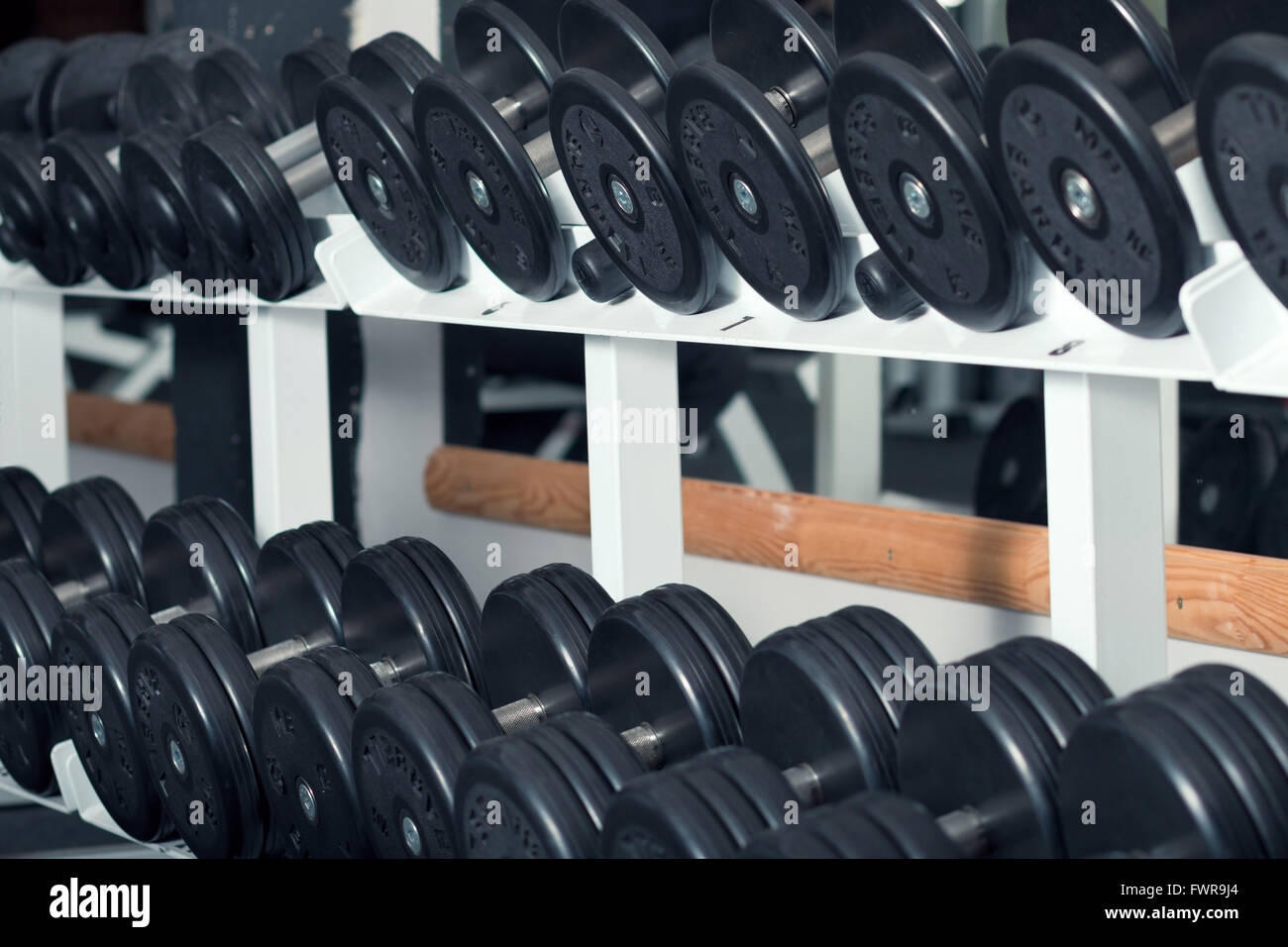 Close-up view of barbells organized in row on rack at gym Stock Photo